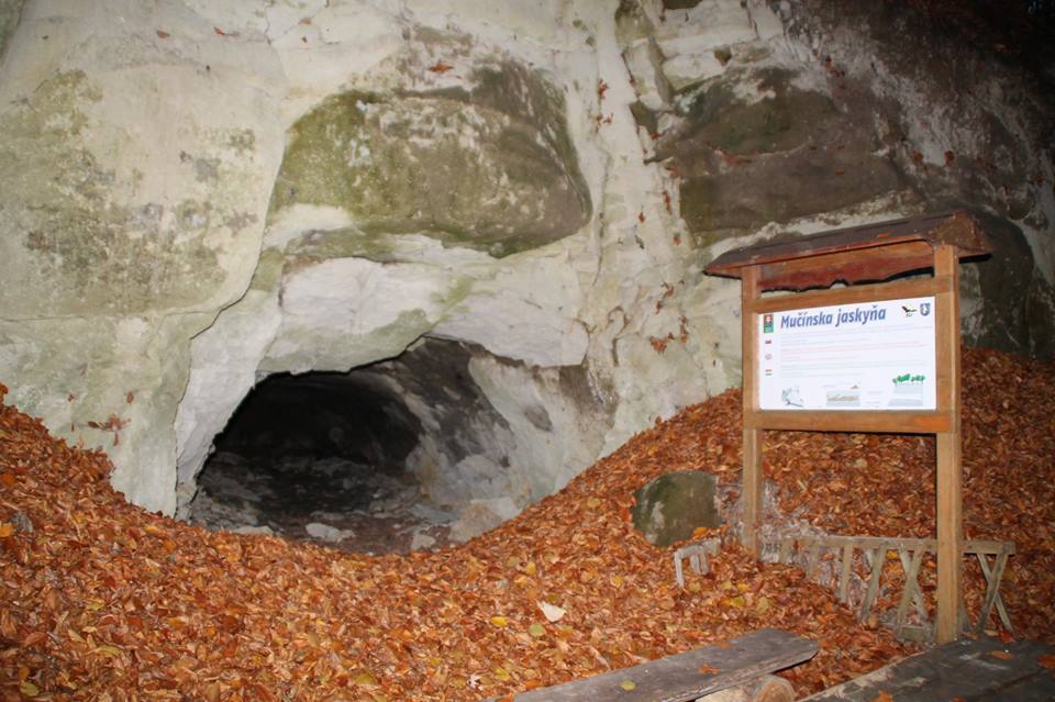 A Mucsényi-fatörzsbarlang