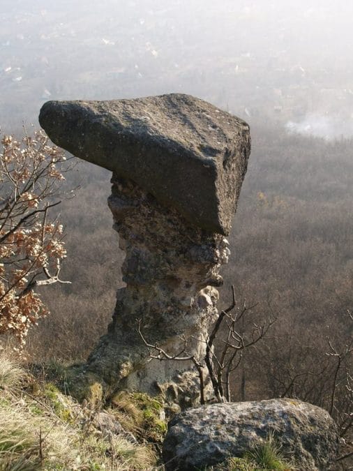 Napóleon kalapja a Visegrádi-hegységben van!?