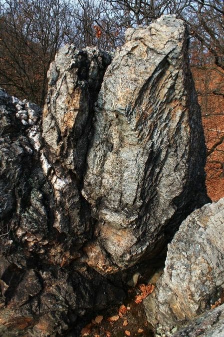 450 millió éves történet az Upponyi-hegységből