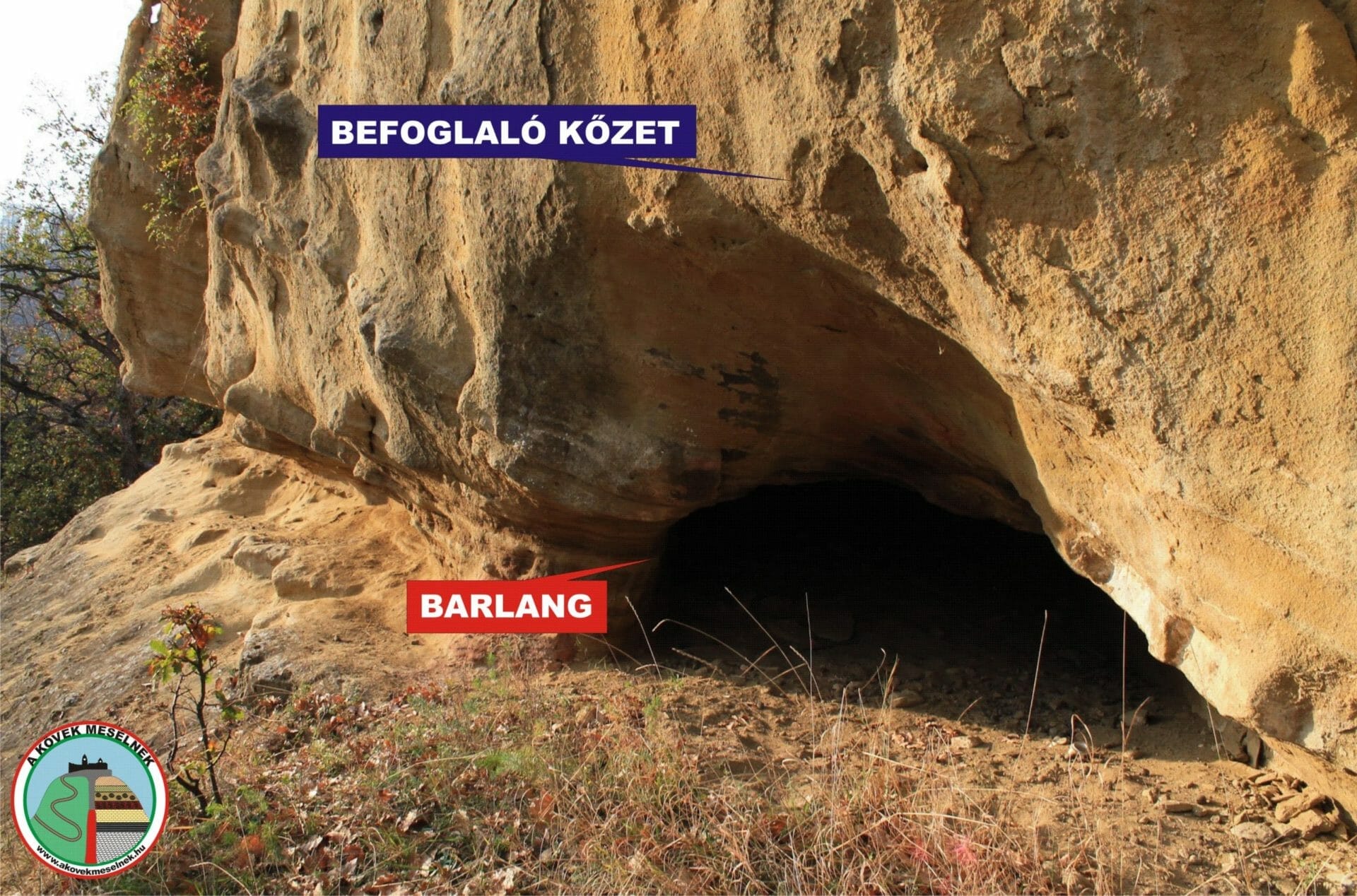 Barlang (litoszféra)