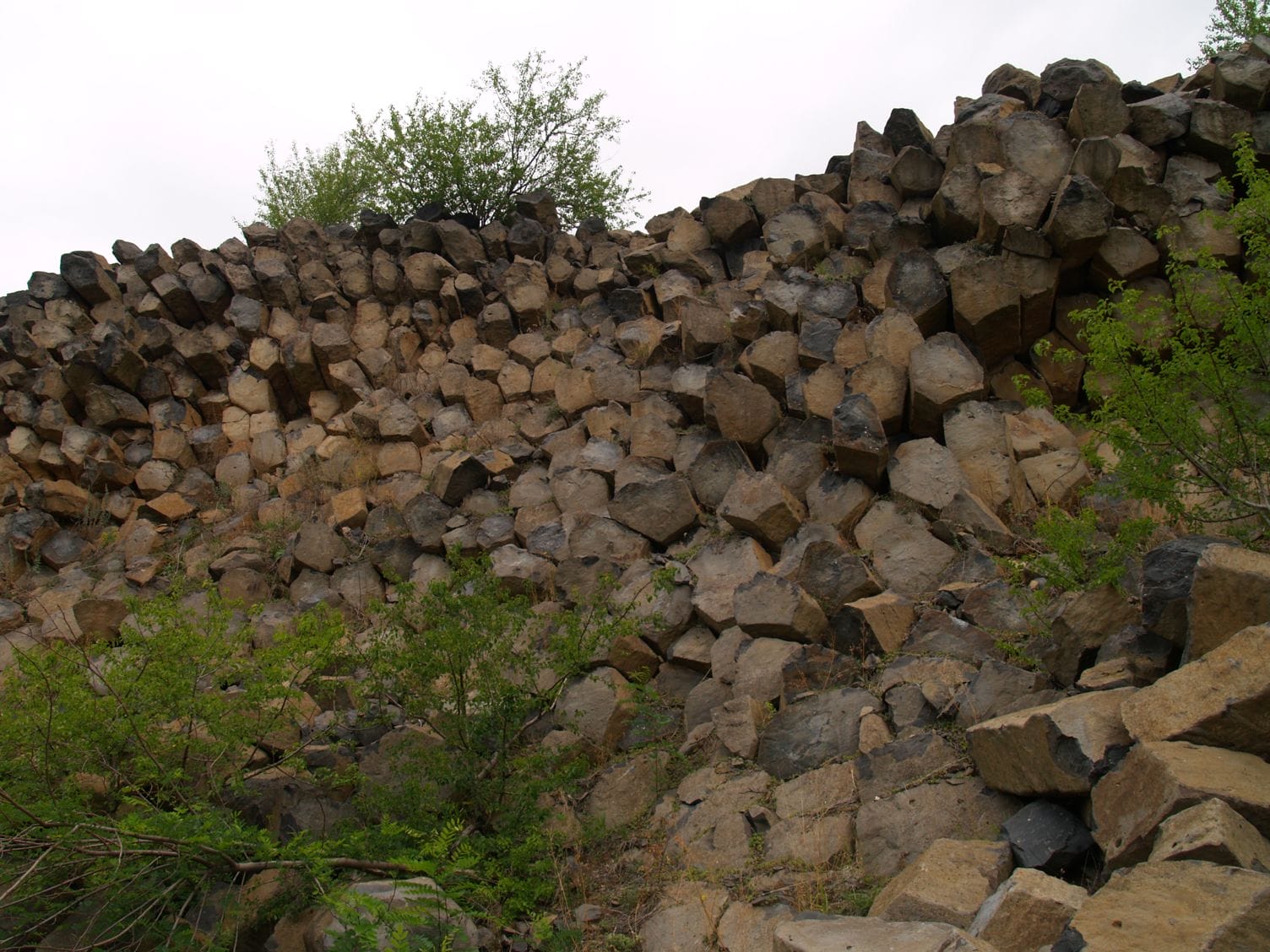 A Haláp bazaltoszlopai