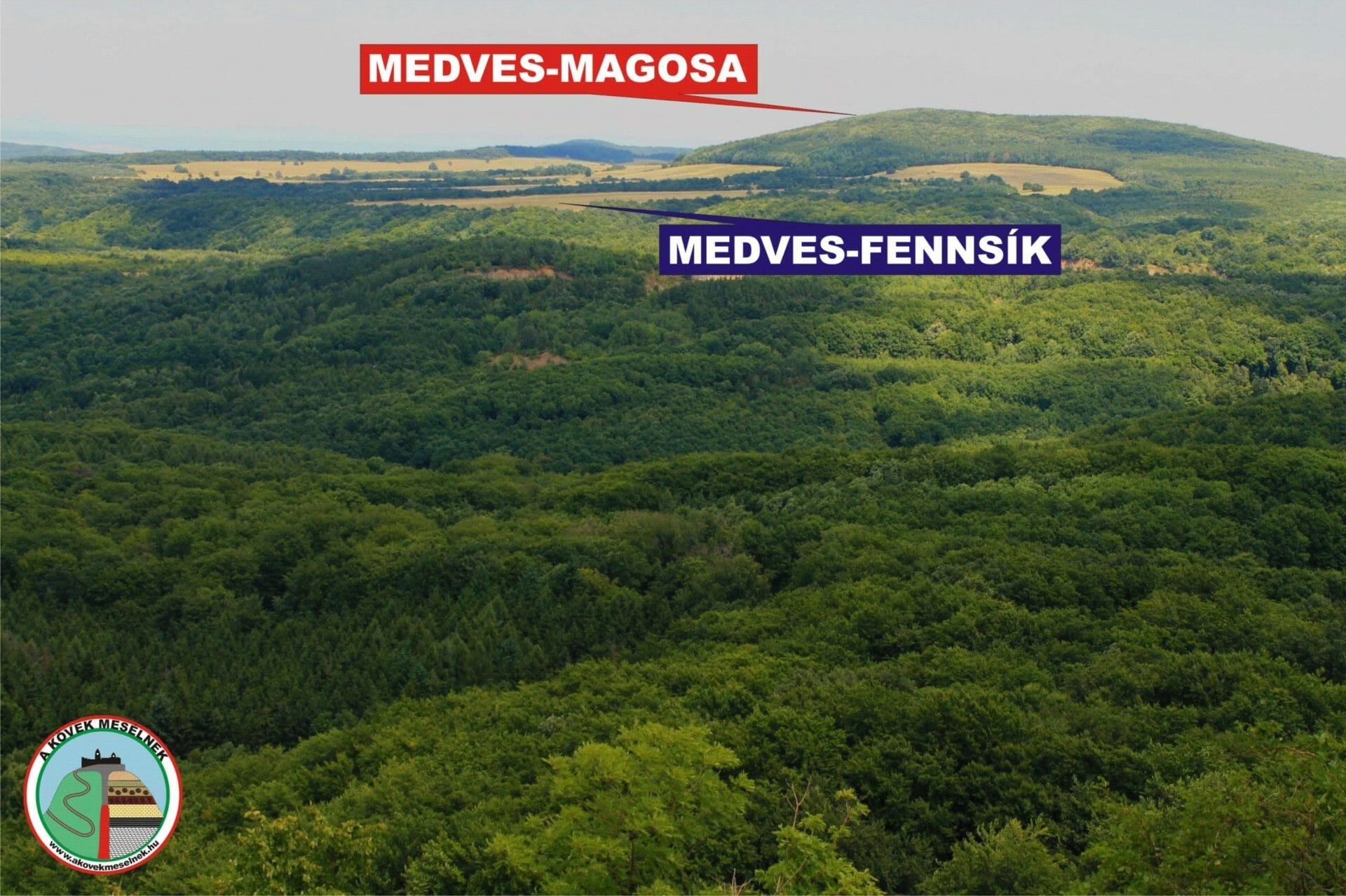 Medves