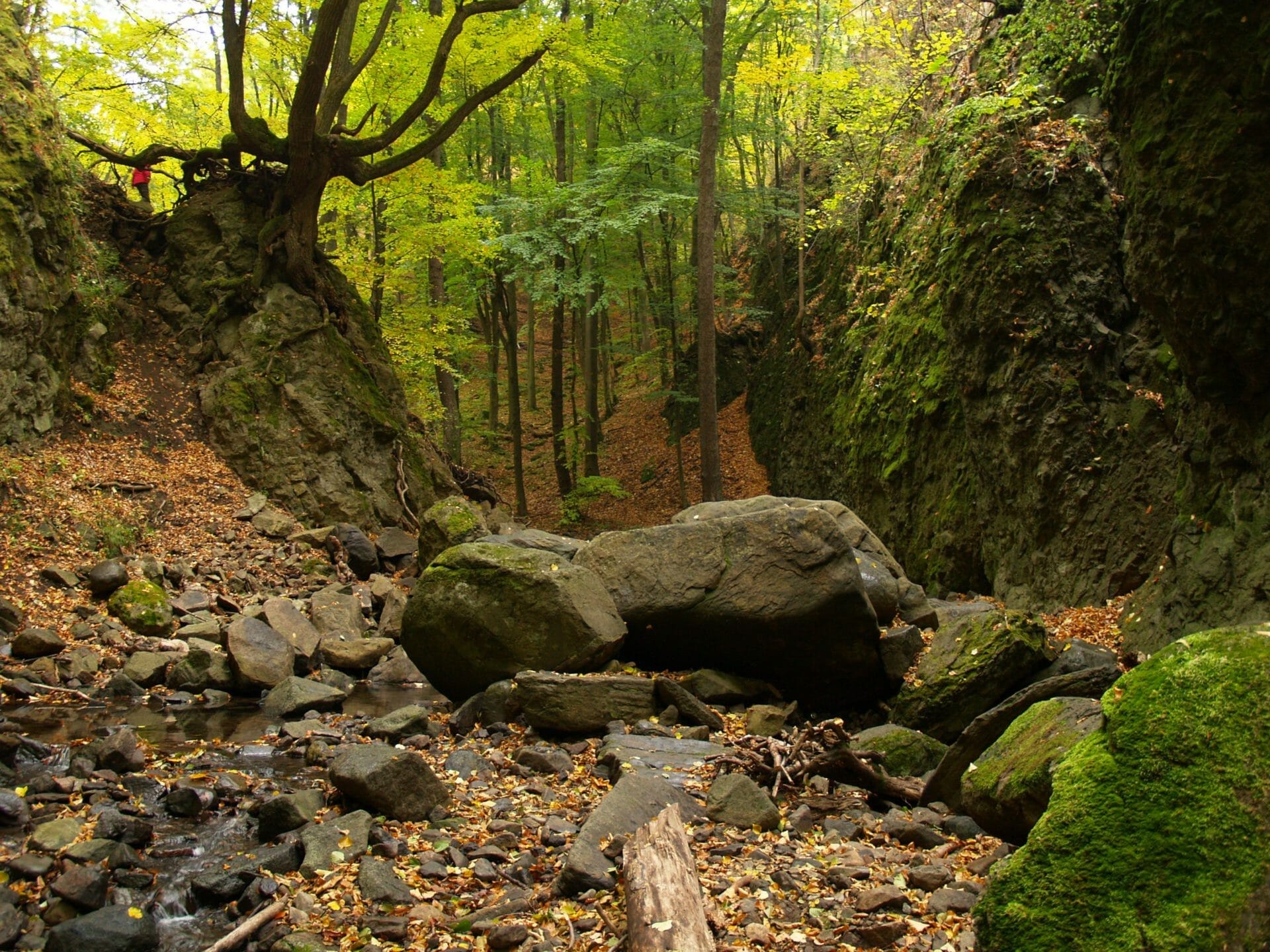 Részlet a Csörgő-szurdokból