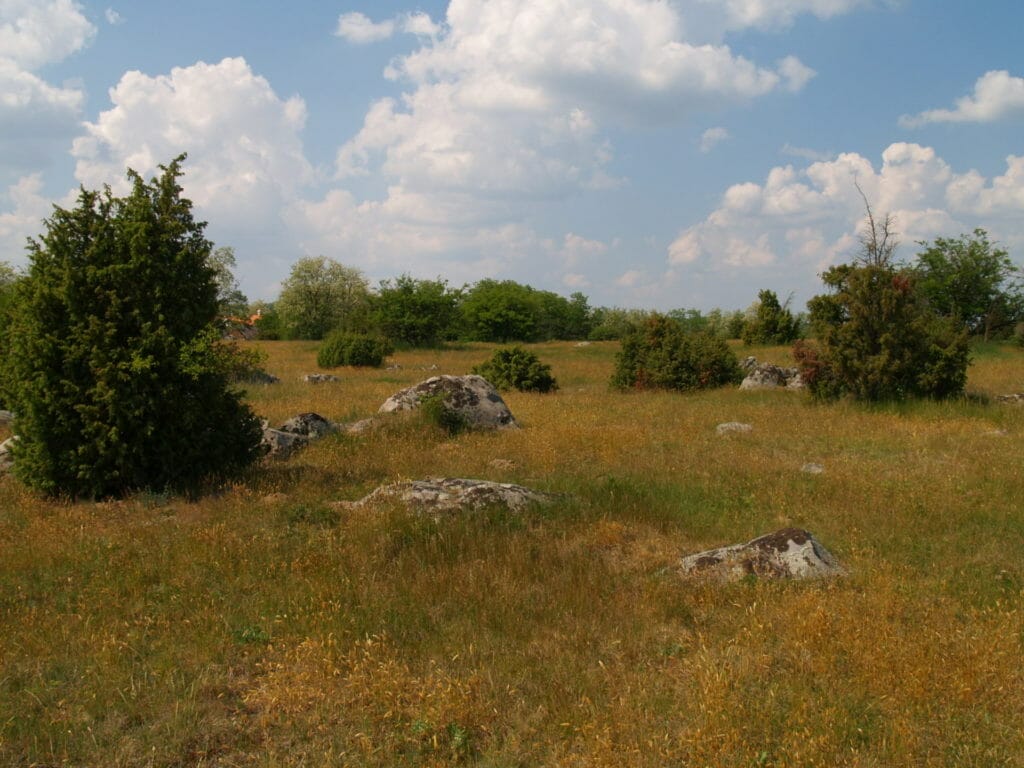 Salföld, Kőtenger
