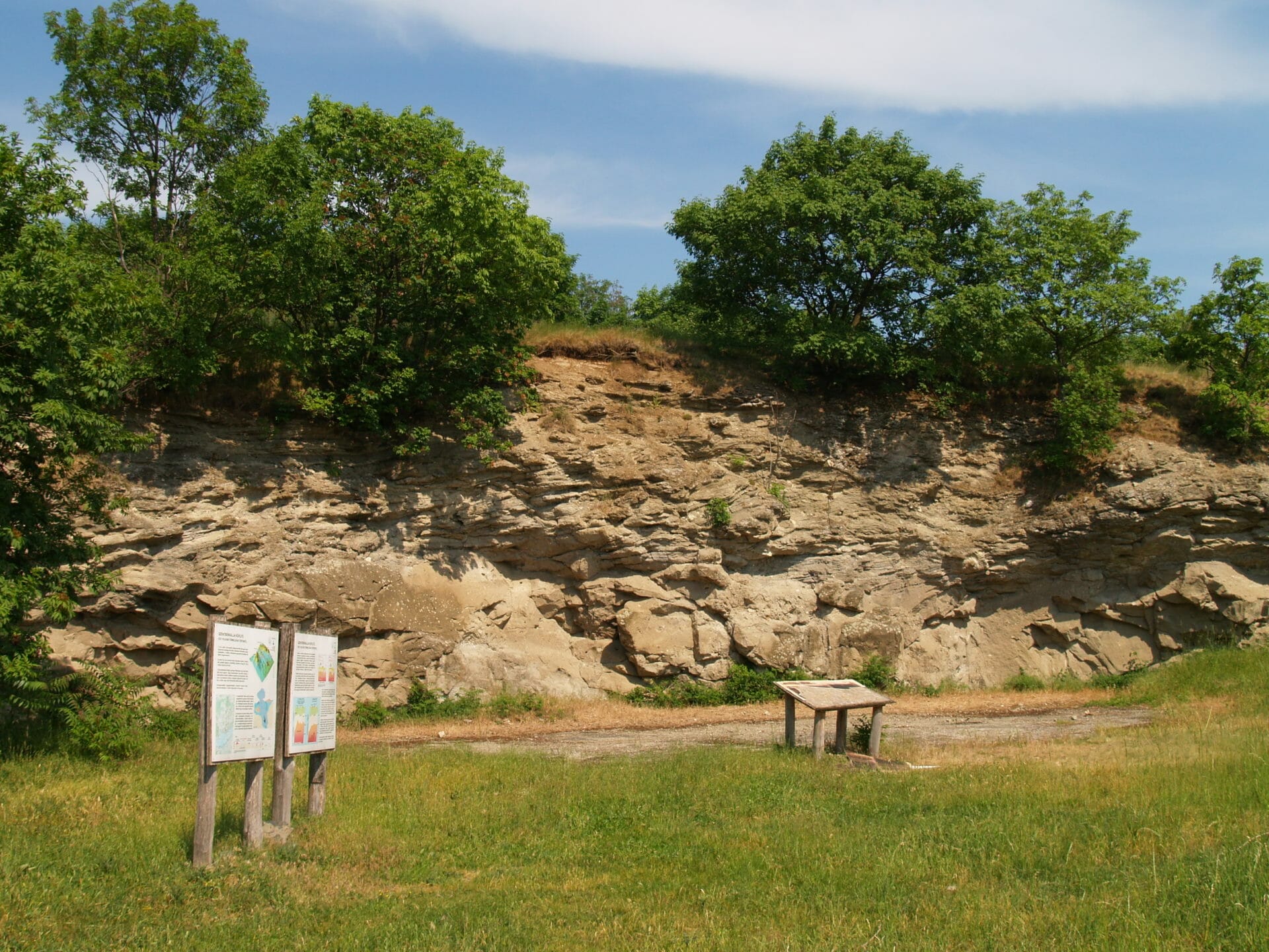 Kőzetek a földköpenyből