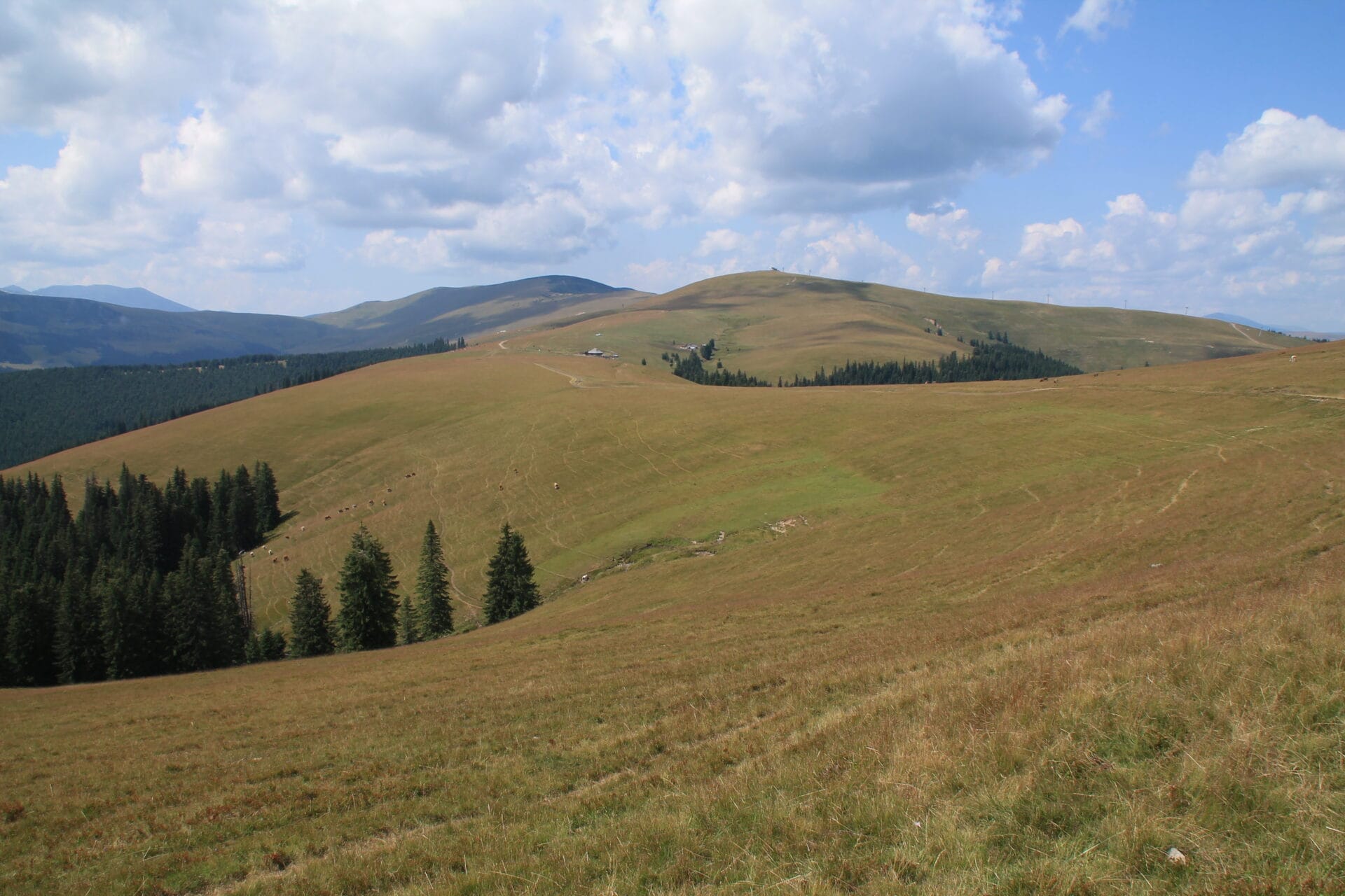 Déli Kárpátok, Latorica Gerinc