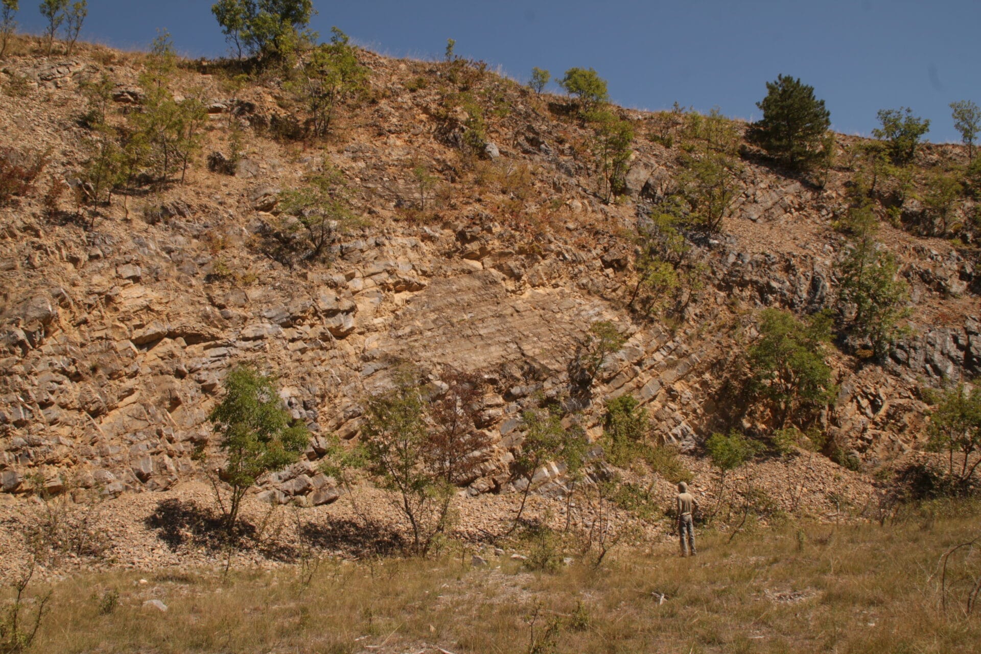 Pécsvárad, Tsz Kőfejtő I.