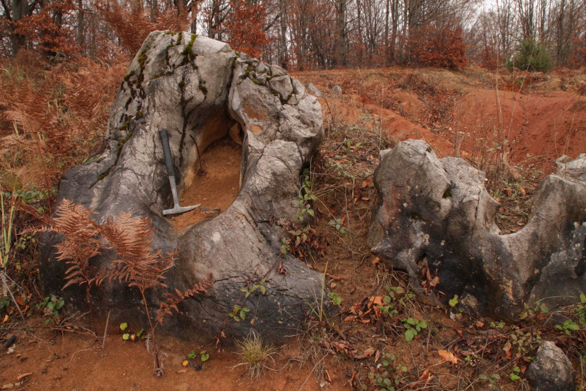 Király Erdő, Farcu Bánya I. (erdély)