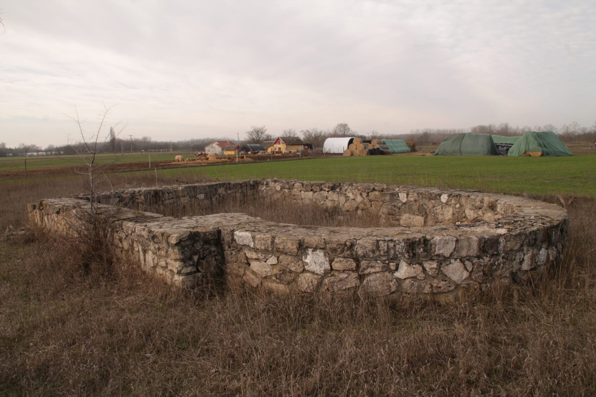 Csengele, Bogár Hát (templomrom)